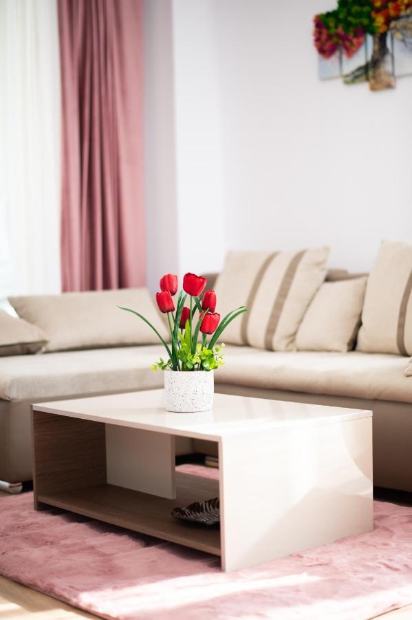 Claseb Apartment ทิมิชัวรา ภายนอก รูปภาพ